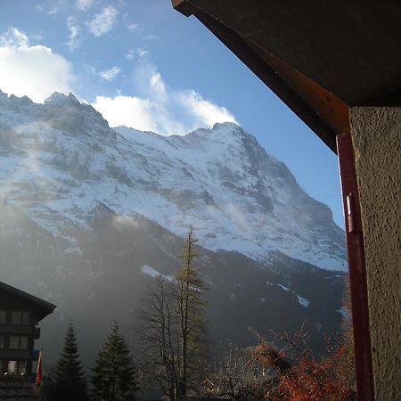 Apartament Pfaffenstoeckli Grindelwald Zewnętrze zdjęcie