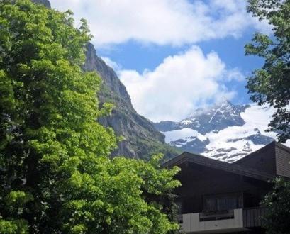 Apartament Pfaffenstoeckli Grindelwald Pokój zdjęcie