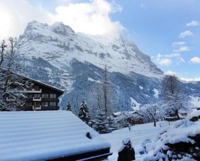 Apartament Pfaffenstoeckli Grindelwald Pokój zdjęcie