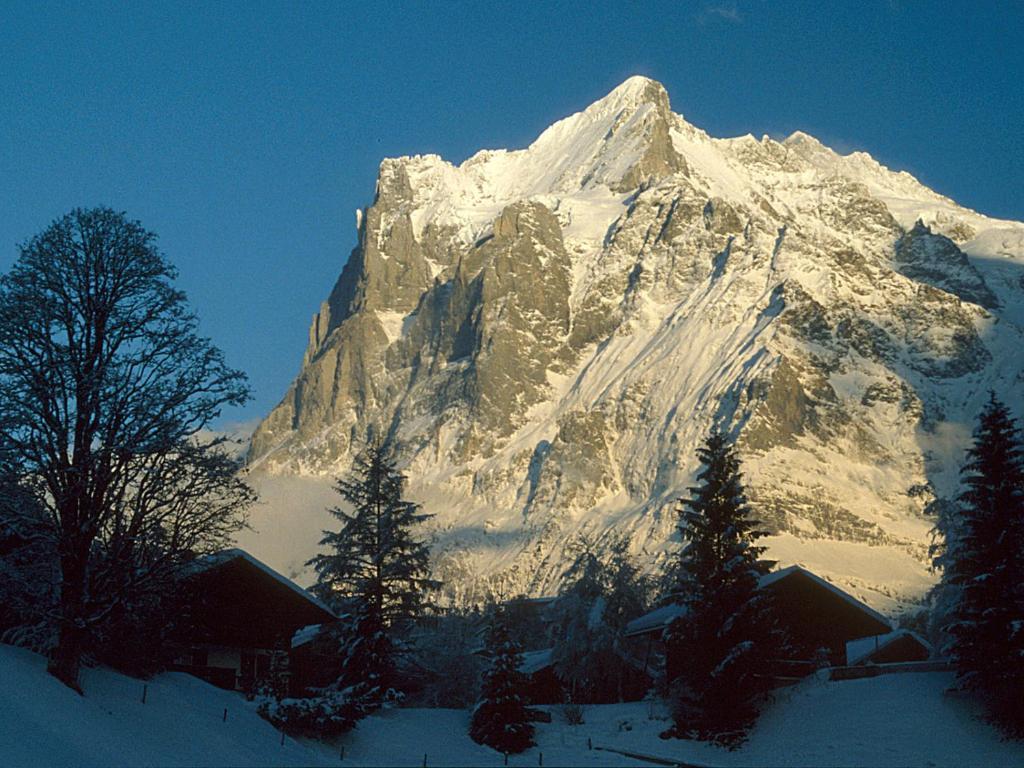 Apartament Pfaffenstoeckli Grindelwald Zewnętrze zdjęcie